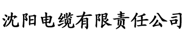 伊人综合大香蕉在线电缆厂logo